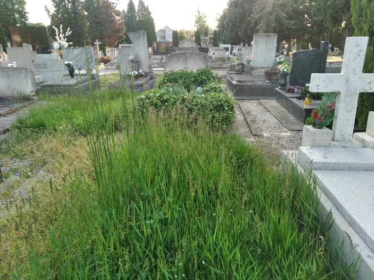 temető6